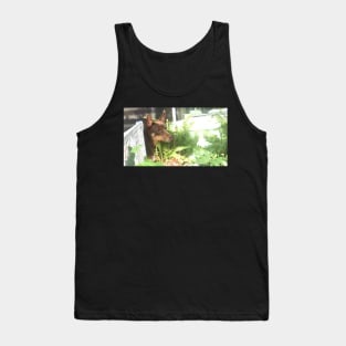 Charlie Button Tank Top